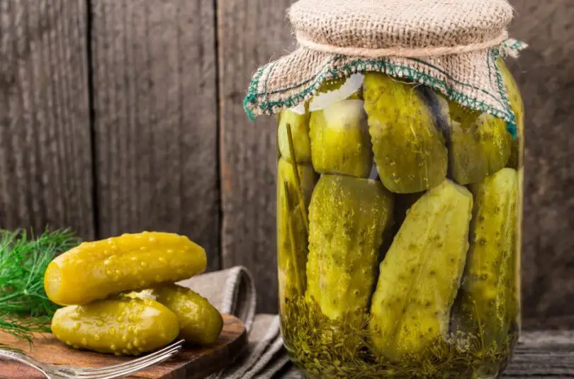 fanny farmer dill pickles recipe