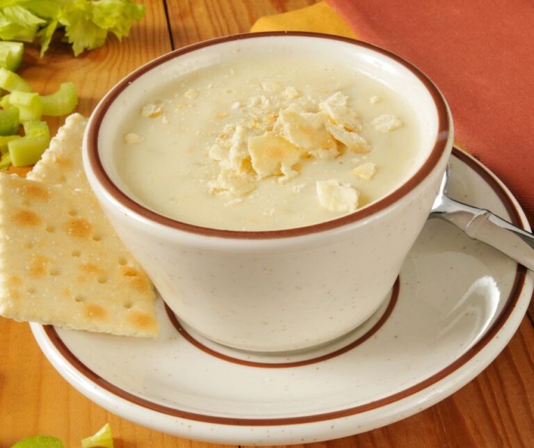 cream of celery soup recipes with macaroni